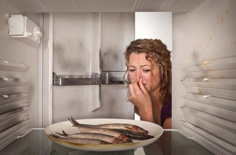 Tổng hợp những câu hỏi về tủ lạnh